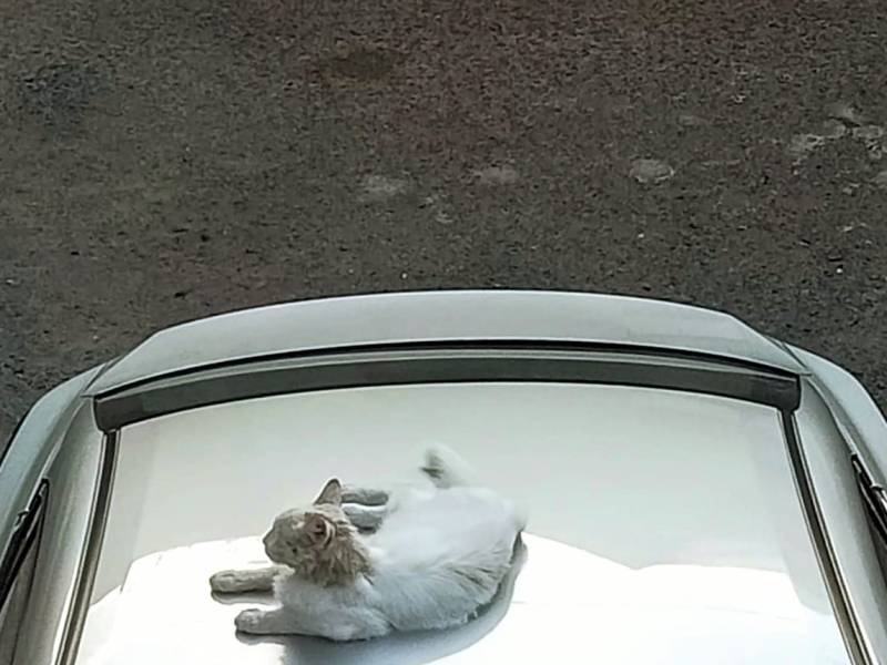 La magia de las cosas&nbsp;pequeñas